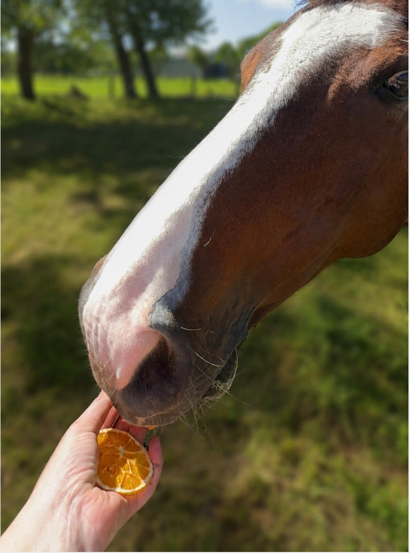 EquiZest Natural Citrus Slices