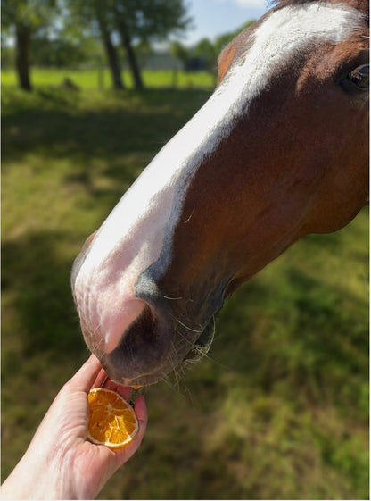 EquiZest Natural Citrus Slices
