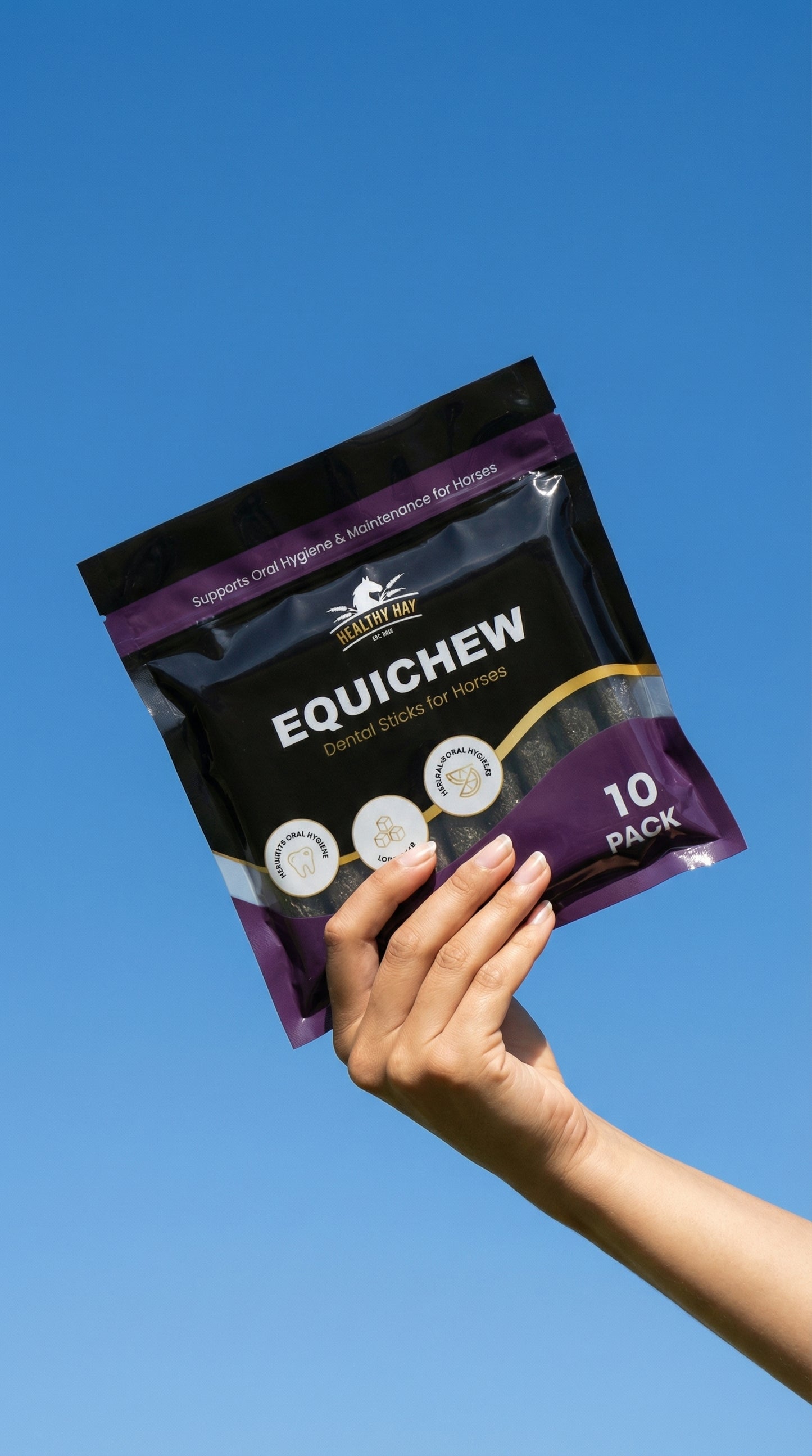 EquiChew Dental Sticks