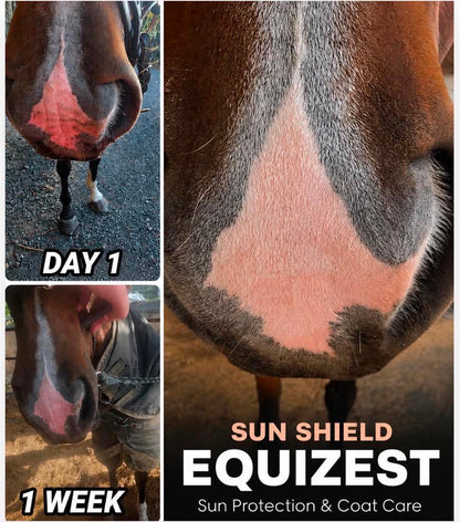 EquiZest Sun Shield Skin & Coat